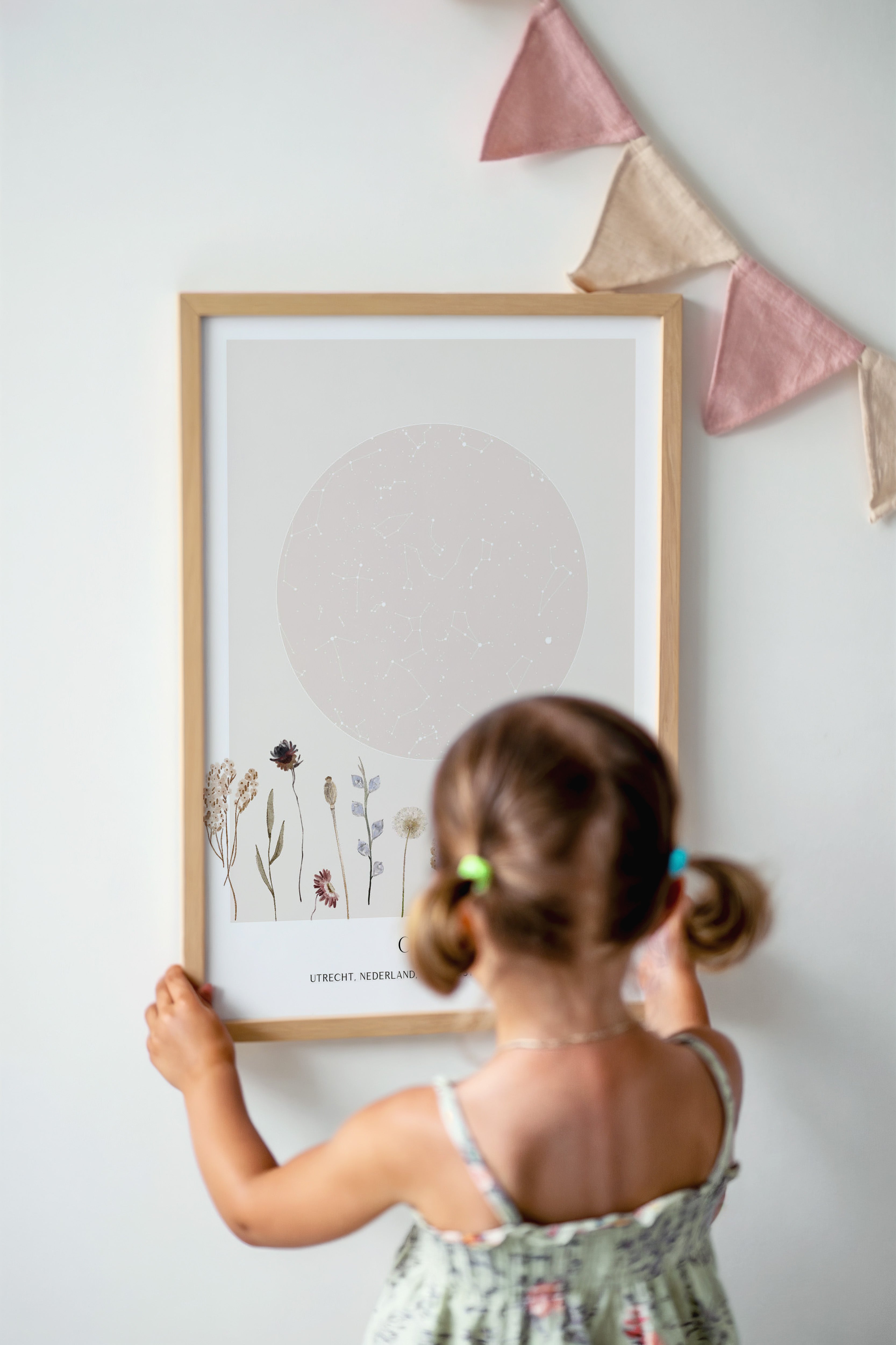 Sterrenhemel poster - Veldbloemen