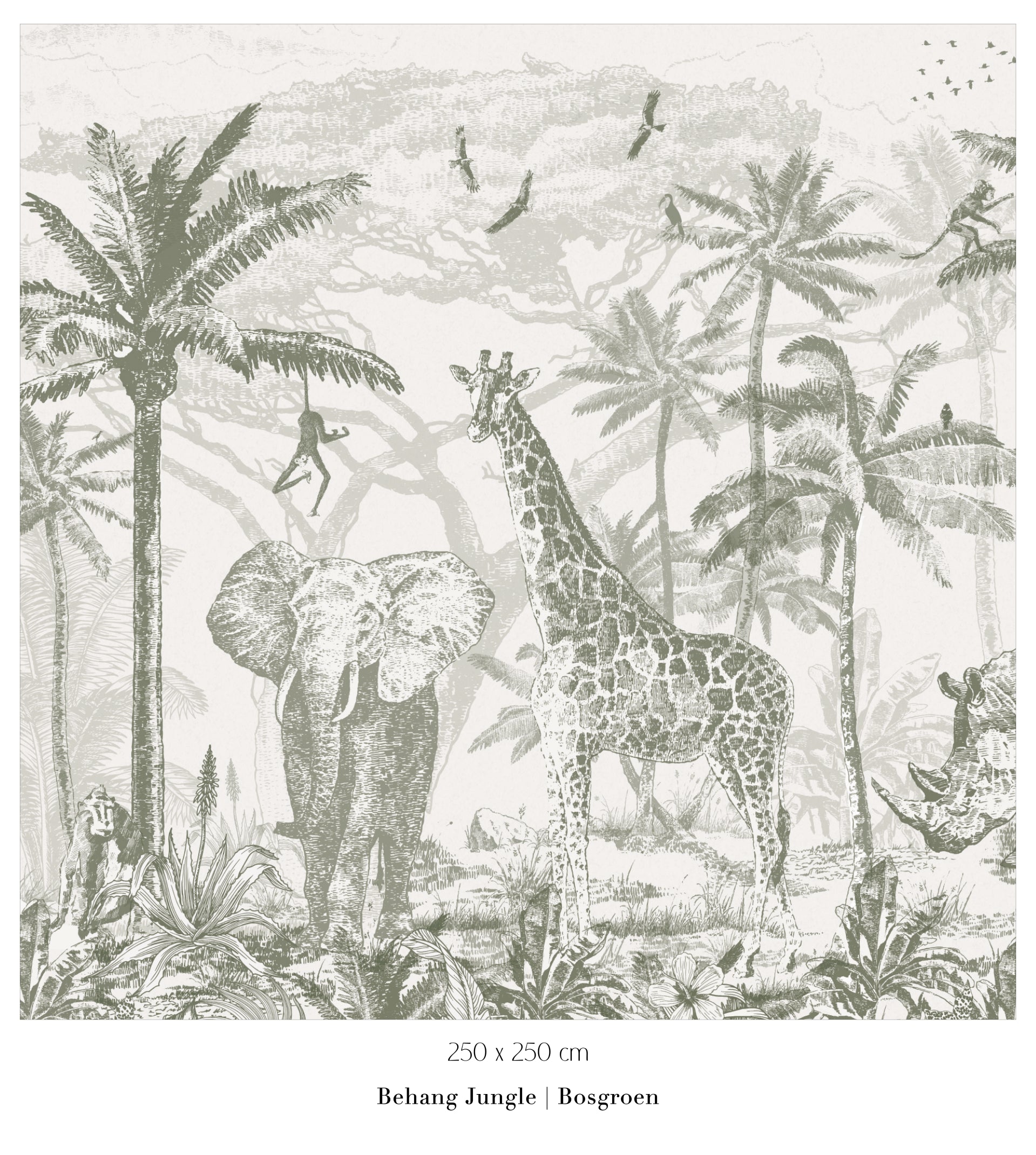 Collage behang Jungle - bosgroen