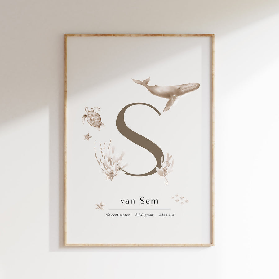Birth poster Underwater world